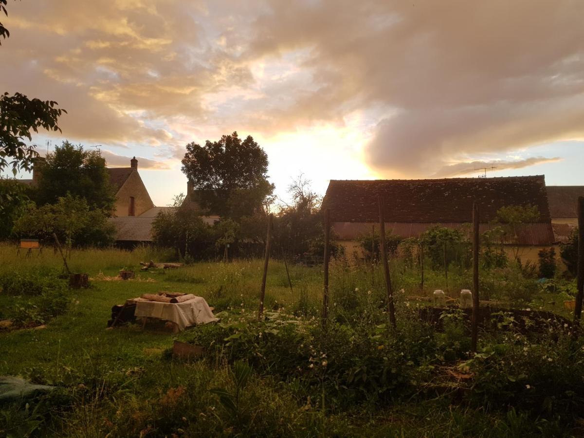 Le Clos de la Canardière Savigny-Sur-Braye Extérieur photo